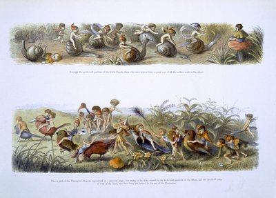 Illustrazione per 